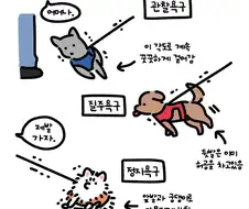 강아지별 산책하는 스타일 차이