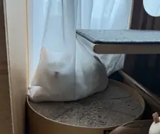 나름 숨었다고 생각하는 중