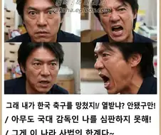 촉법 감독
