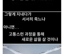 늙고 약해진 야생 올빼미의 최후의 선택