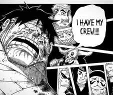 원피스) 밀.집모자 해적단