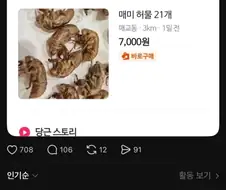 (혐) 당근마켓에 올라온 매미 허물