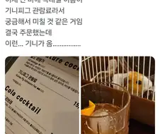 칵테일 이름이 기니피그 관람료.jpg