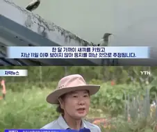 평범한 새인 줄 알았는데...국내 첫 기록이었다