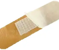 팬티 대용품