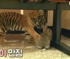 허락 없이 이성 엉덩이 만지던 순간 카메라 포착