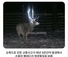 핀란드의 교통사고 방지대책.jpg