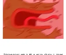 닌자 넣고서 반일이라고 욕먹은 웹소작가