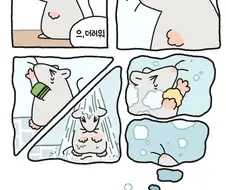 쥐가 운 이유 ㅠㅠ