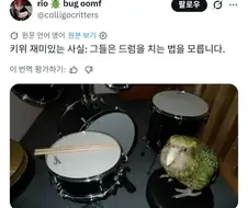 "우리집에 카카포가 처들어왔어"