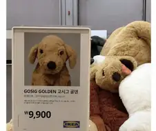 세이 마이 네임