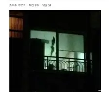 우리 아파트 앞집에 관우 사는 것 같다.jpg