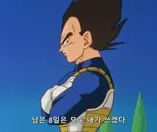 드래곤볼]정신과 시간의 방 밸런스 패치