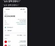 주식) 테슬라 레버리지의 압도적인 파워