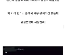 자동차한테 풋잡하는 미친 암컷