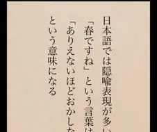 교토 : 봄이네요