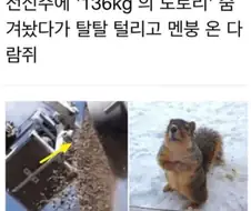 강제 철거 당해 망연자실한 집주인