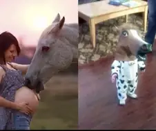 동물과 교감은 아이들 정서에 좋다고