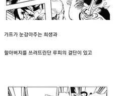 원피스)지금와서 생각해보면 ㅂㅅ이었던 ㅅㄲ