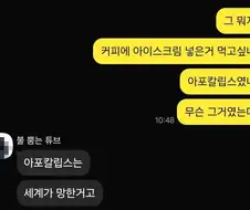 감히 커피에 아이스크림을 넣다니...
