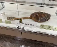 의외로 기타가 될 수 있는 것.jpg