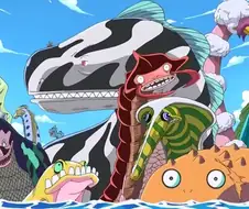 원피스 해왕류 관련 재밌는거