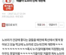 얘들아 노브라 진짜 개편해