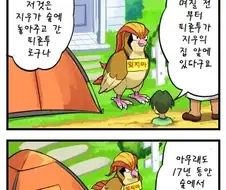 피죤투 만화