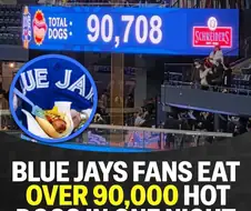 하룻밤에 1달러 핫도그 90,000개 이상 먹은 토론토 팬...