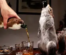광기의 81만원짜리 맥주