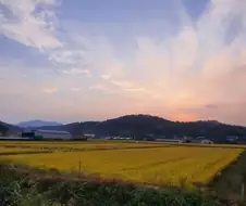최저시급 공장에 안가는 더 큰 이유