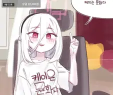 케이는 문화다
