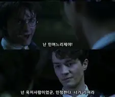 이쯤 다시보는 해리포터 옥저사람
