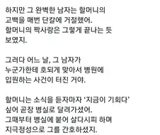 할머니의 짝사랑 이야기