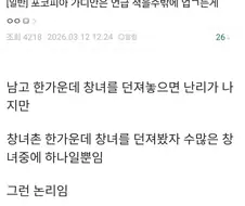 포코피아) 가디안은 언급이 적은 이유.jpg