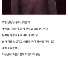 "동기들이 케이크가 있다고 했어!"