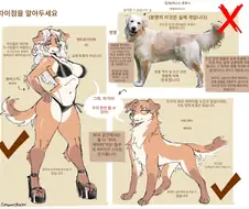 퍼리, 페럴, 그리고 수간 간 차이