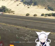 버튜버) 병원장 다운