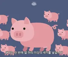 돼지젖으로 만든 우유는 없는 이유.jpg