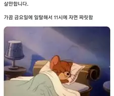9 to 6으로 일하는 분들 모든걸 포기하고 밤 10시에 자 보세요.jpg