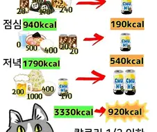 일본 MZ세대들의 다이어트법