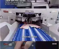 노르웨이 순살 고등어의 비밀
