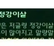 스타2) 저그 고기 수율 알아보기