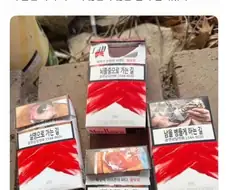 꼴초의 미래