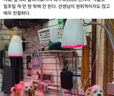 강아지 한의원.jpg