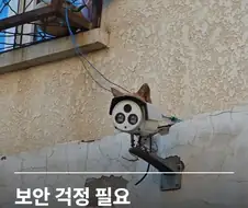지켜보고있다냥!