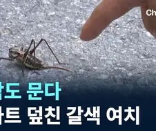 한반도 여름 업데이트 소식을 전해드립니다.