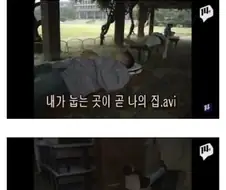 90년대 대학교 수강신청 현장