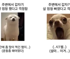 나이들면 살찌는거보다 더 무서워지는것