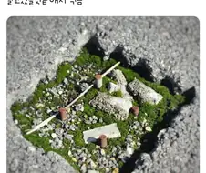 지나가다 이끼가 낀 도로를 찍은 사람